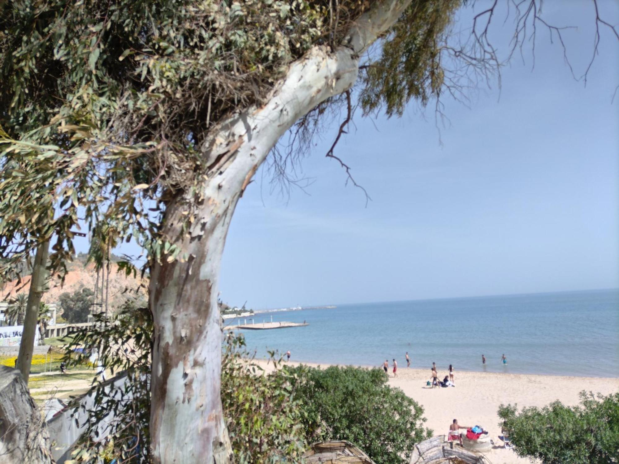 Marsa - Sidi Bousaid Lovely Authentic Apartment 라 마르사 외부 사진